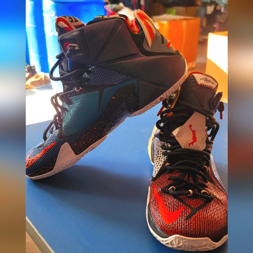 ITEM: NIKE LEBRON XII 12 SE "WHAT THE" MULTI-COLOR PHANTOM